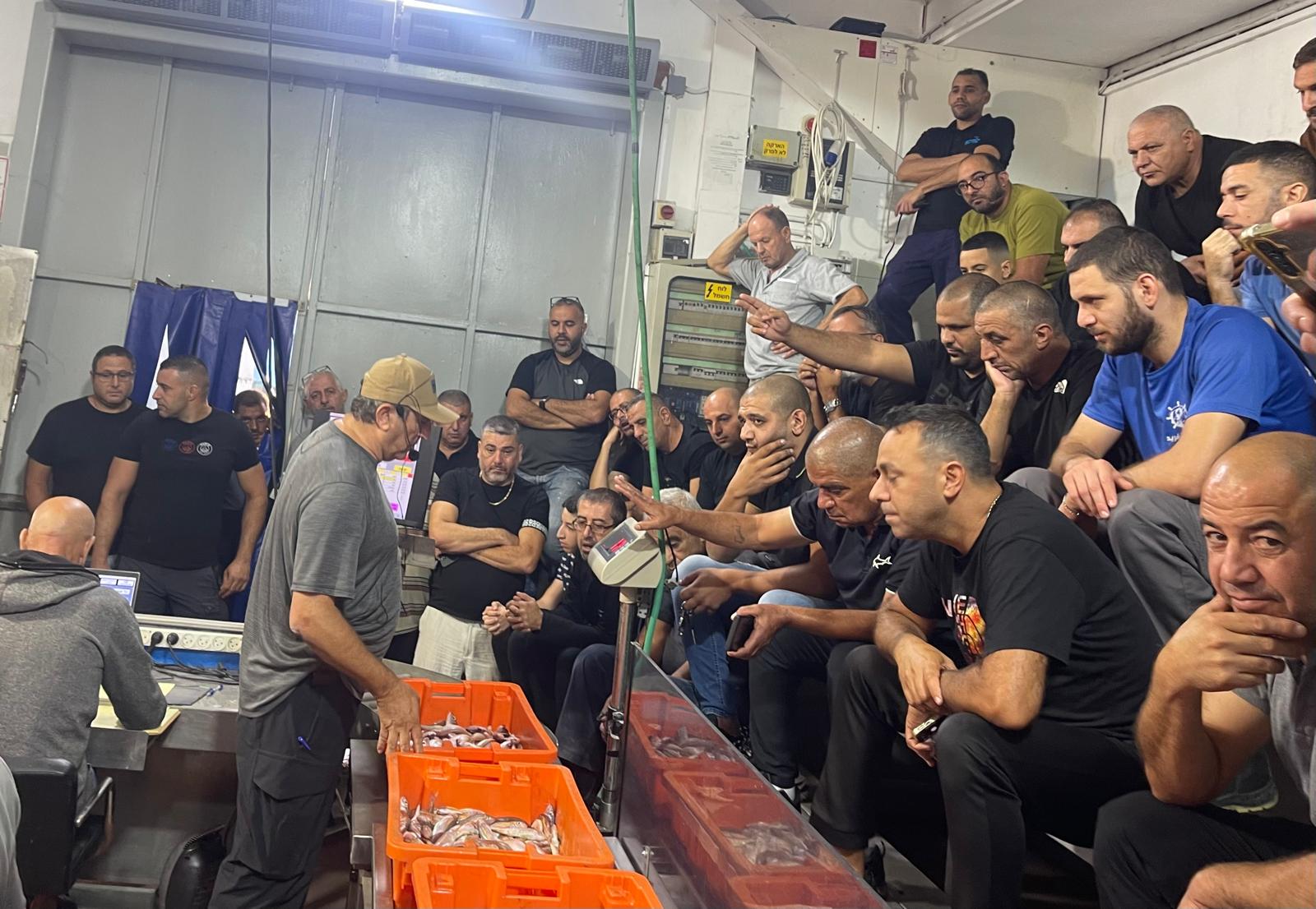 מכירת דיג מקומי במעגן הדיג בחיפה